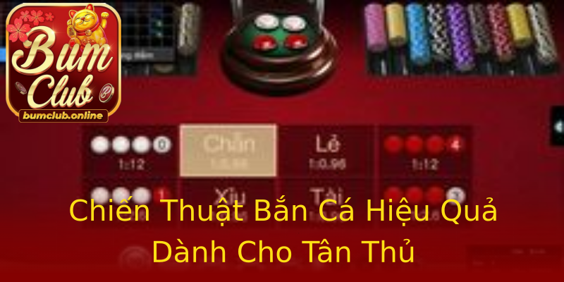 Chiến Thuật Bắn Cá Hiệu Quả Dành Cho Tân Thủ Chiến Thuật Bắn Cá Hiệu Quả Dành Cho Tân Thủ
