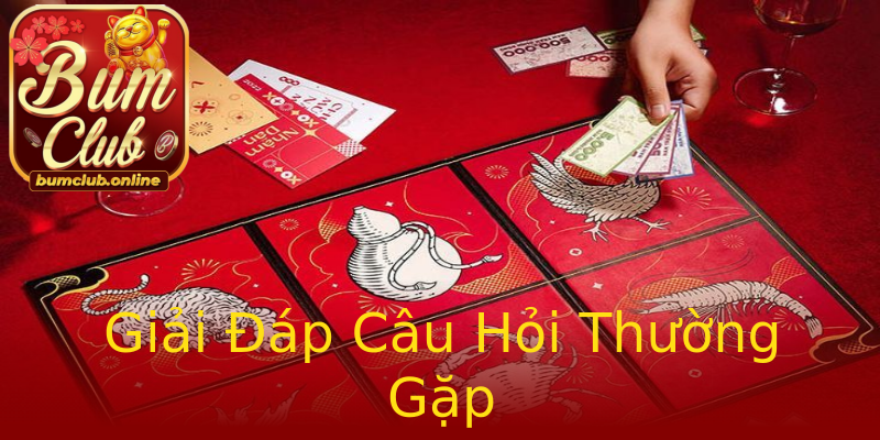 Giải Đáp Câu Hỏi Thường Gặp Giải Đáp Câu Hỏi Thường Gặp