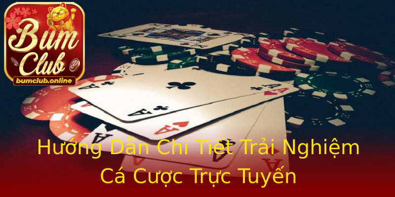 Hướng Dẫn Chi Tiết Trải Nghiệm Cá Cược Trực Tuyến Hướng Dẫn Chi Tiết Trải Nghiệm Cá Cược Trực Tuyến