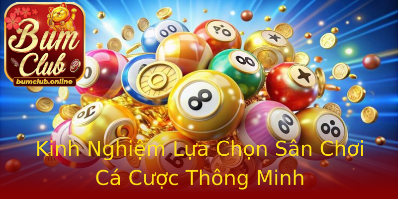 Kinh Nghiệm Lựa Chọn Sân Chơi Cá Cược Thông Minh Kinh Nghiệm Lựa Chọn Sân Chơi Cá Cược Thông Minh