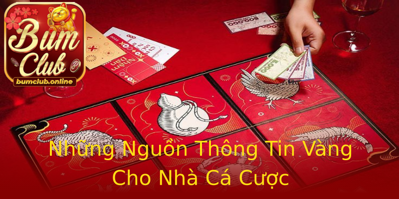 Những Nguồn Thông Tin Vàng Cho Nhà Cá Cược Những Nguồn Thông Tin Vàng Cho Nhà Cá Cược