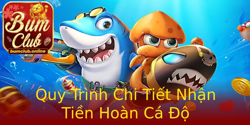 Quy Trình Chi Tiết Nhận Tiền Hoàn Cá Độ Quy Trình Chi Tiết Nhận Tiền Hoàn Cá Độ